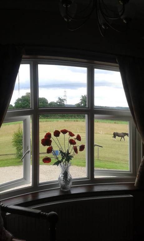 Bed & Breakfast Meadow Farm